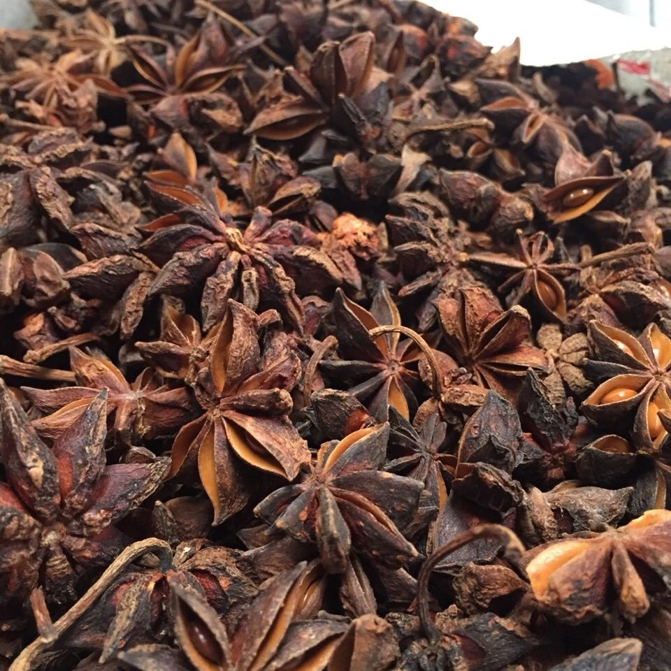 Cheap Price High Quality Star Anise In Spices/ Competitive Quotation