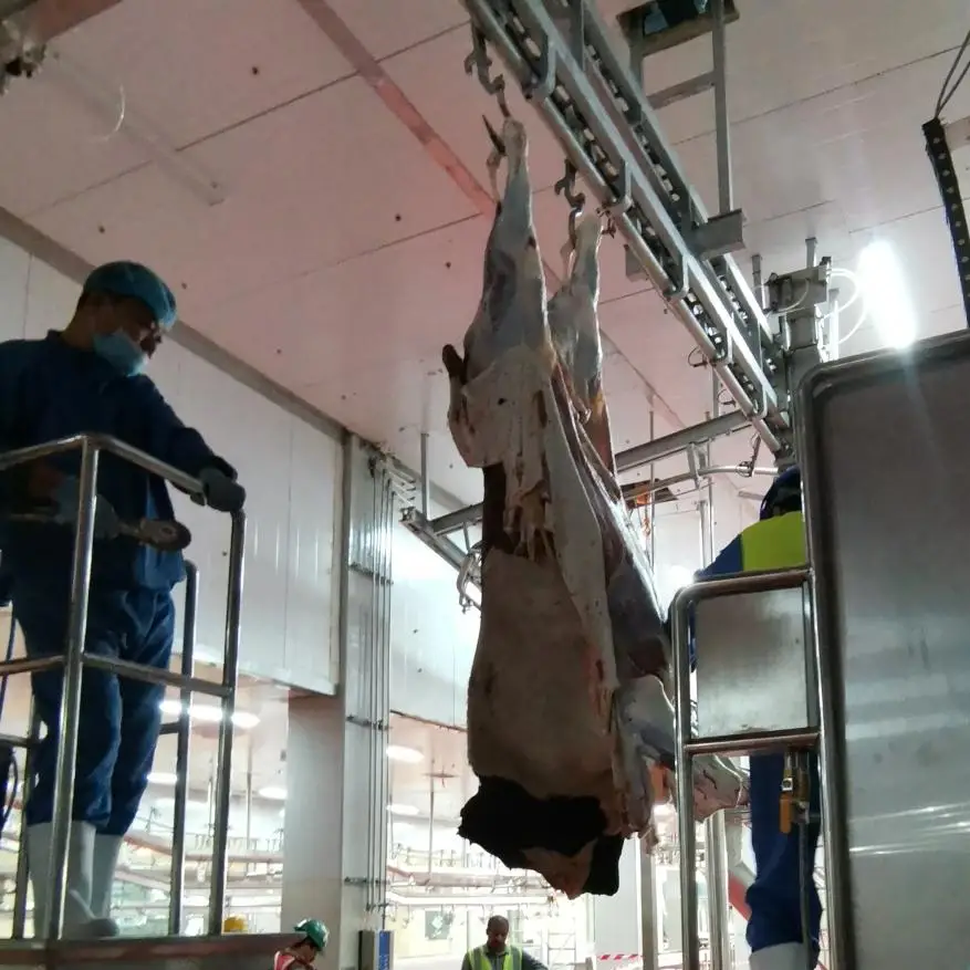 Complete sheep slaughtering line with skinning and evisceration equipment for slaughterhouse use