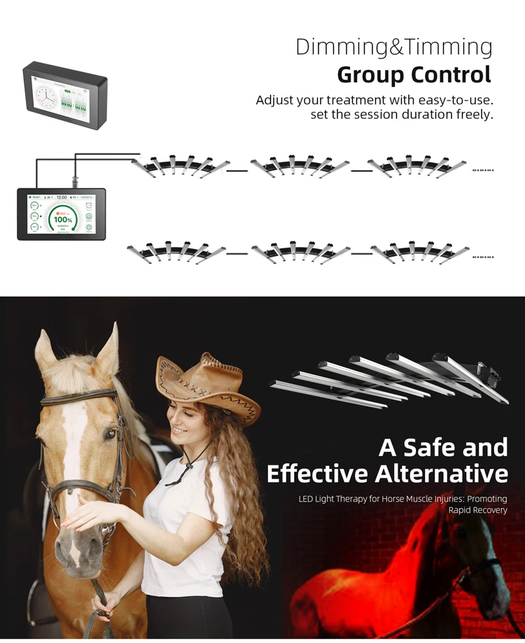 Redfy Led Therapy Horse Redlight Therapy Horse Boot Bemer Therapy Horse Blanket Factory Supply