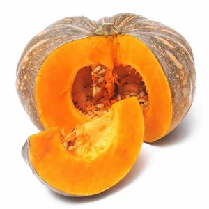NEW CROP FRESH PUMPKIN - PUMPKIN EXPORT in BULK TOP QUALITY SPECIAL PRICE