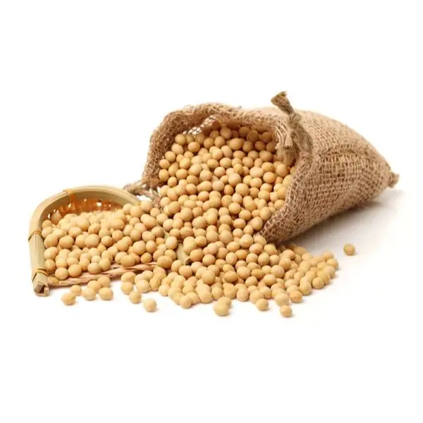 50kg Bag Sprouting And Food Grade Dry Yellow Soybean Seed Non Gmo Soybeans Buy Soybean,Non Gmo