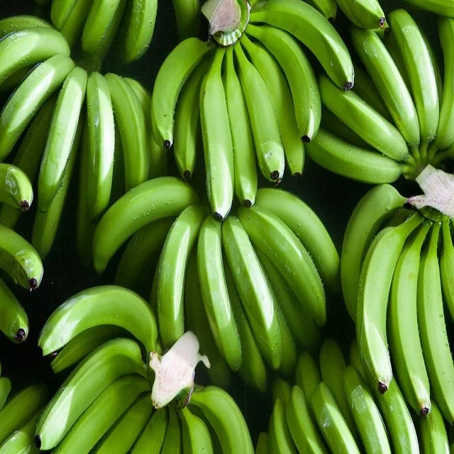 Fresh Cavendish Banana From Thailand High Quality Green Tropical Style Color