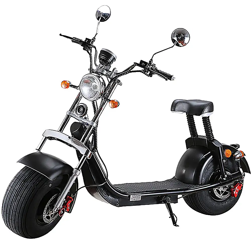 SC10 Electric Citycoco Scooter EEC