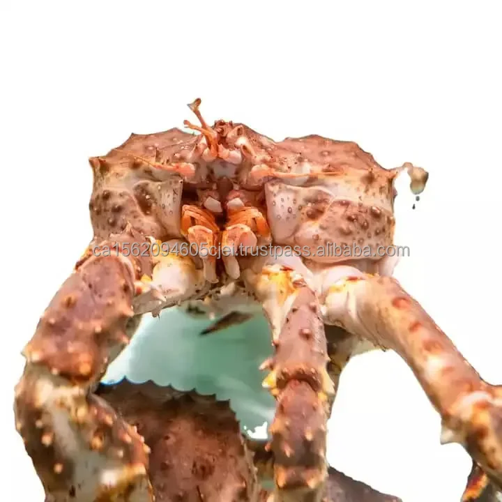 L9.jpg