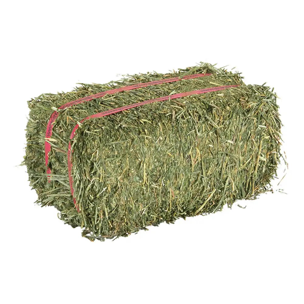 Great Quality Alfalfa Hay/Timothy Hay Green Color High in Fiber