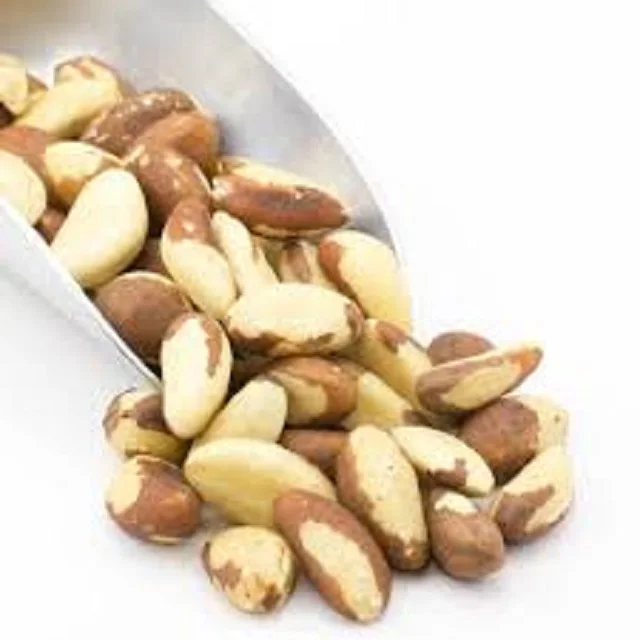 2023 Whole Raw Brazil Nut With Shell Uncracked For Sale 100 Buy