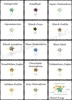 All Gemstone