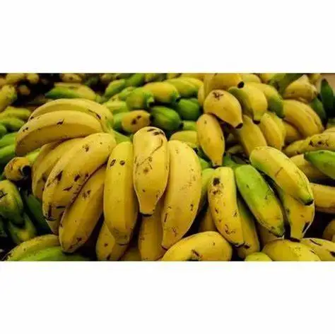 High Quality Fresh Bananas for Sale Export Quality