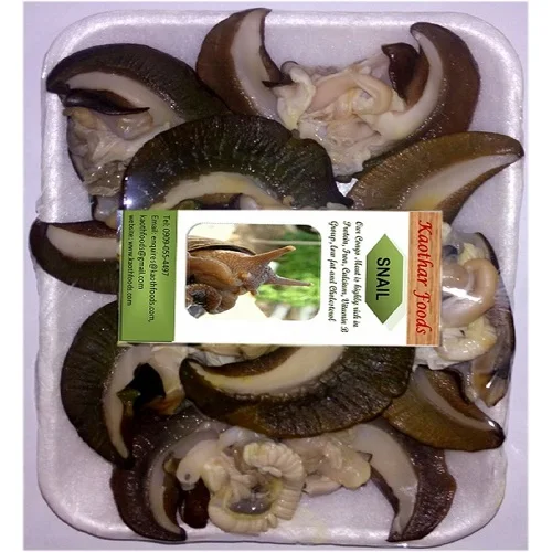 Dried Giant African Land Snails For Sale High Quality Edible Dried