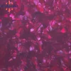 JCH1127