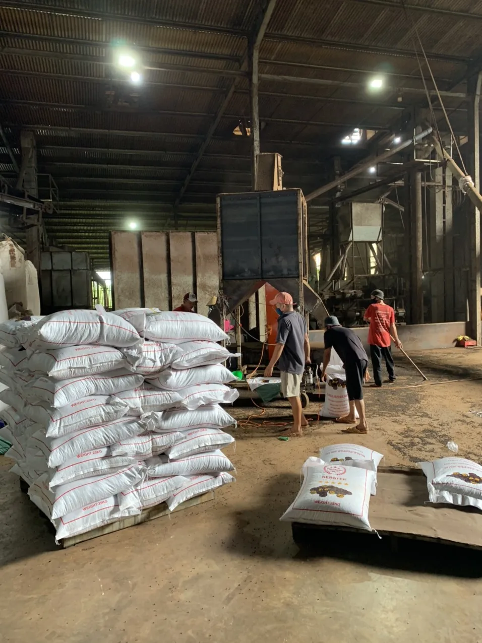 Hot Selling High Quality Bulk Black Pepper For Wholesale From Vietnam