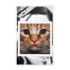 Cat face 2