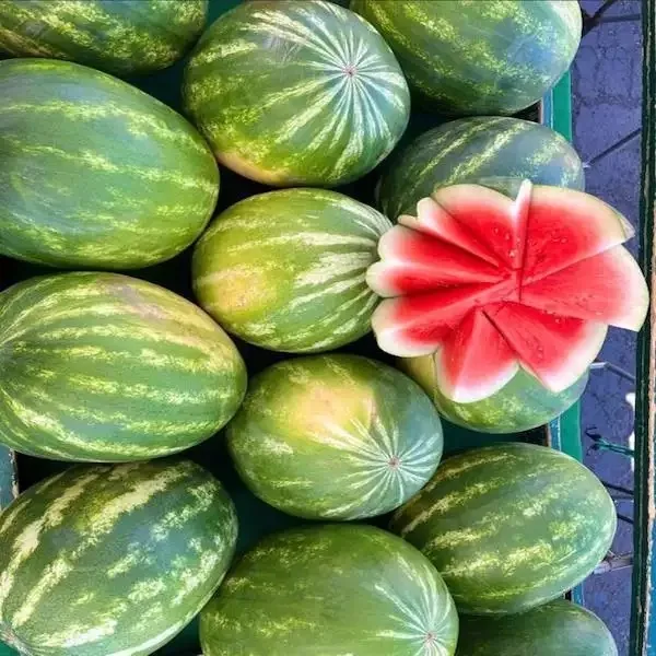 Wholesale Watermelon Fresh Fruit 100 Organic Fresh Watermelon Buy