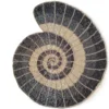 As Per Image