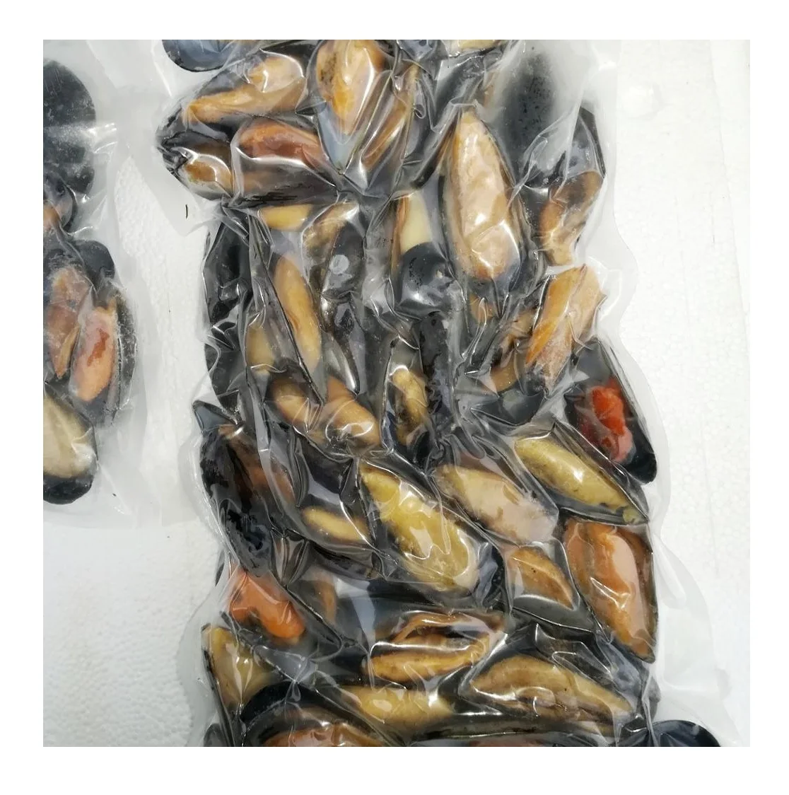 Frozen Seafood Mussel Half Shell Mussel Buy Best Quality Hot Sale