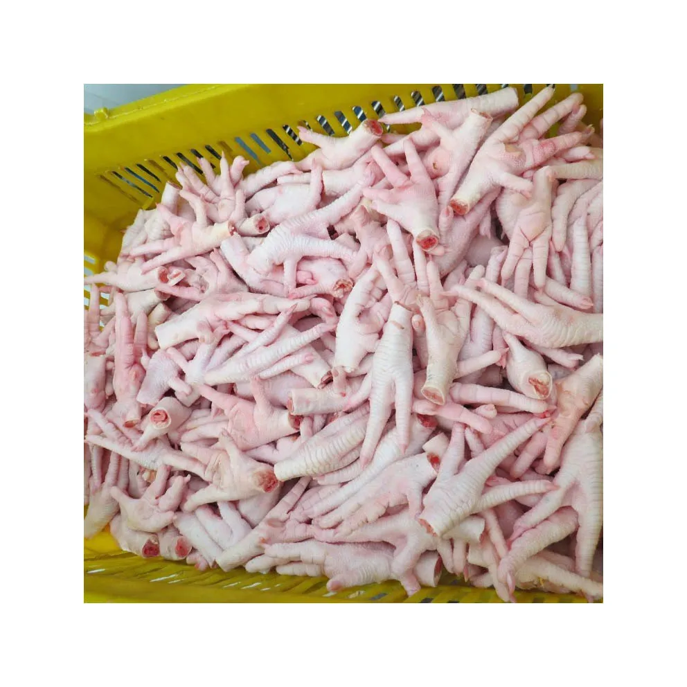 High Quality Frozen Chicken Feet / Paws Available For Supply Brazilian Origin Buy Halal