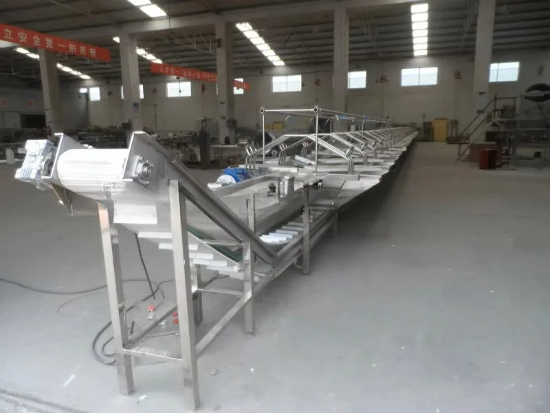 PVC conveyor belts for cutting and packaging lines in meat slaughterhouse equipment