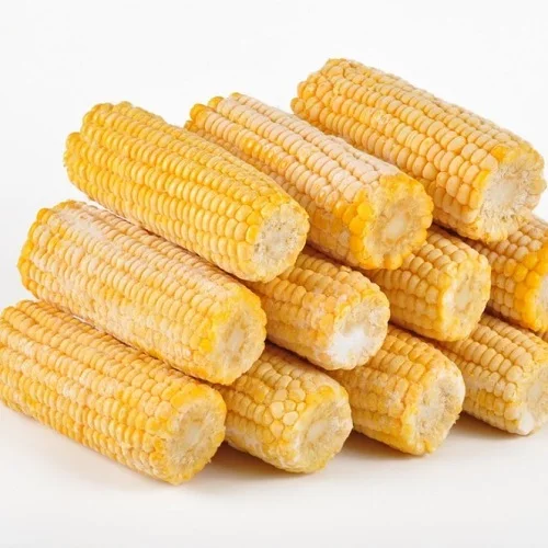 Wholesale Price Yellow Maize Corn