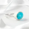 Turquesa Plata