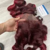 Color