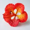 06: Naranja