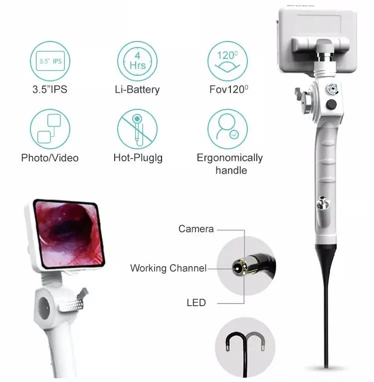 Veterinary Instrument Handheld Ultraclear Veterinary Endoscope