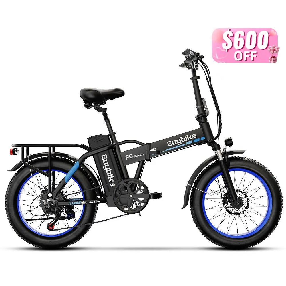 Euy F6 Long Range Electric Mountain Bike with Fat Tire Premium Electric Bike Product