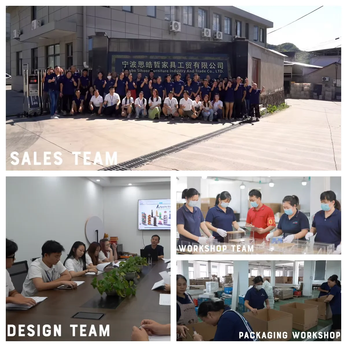 Company overview