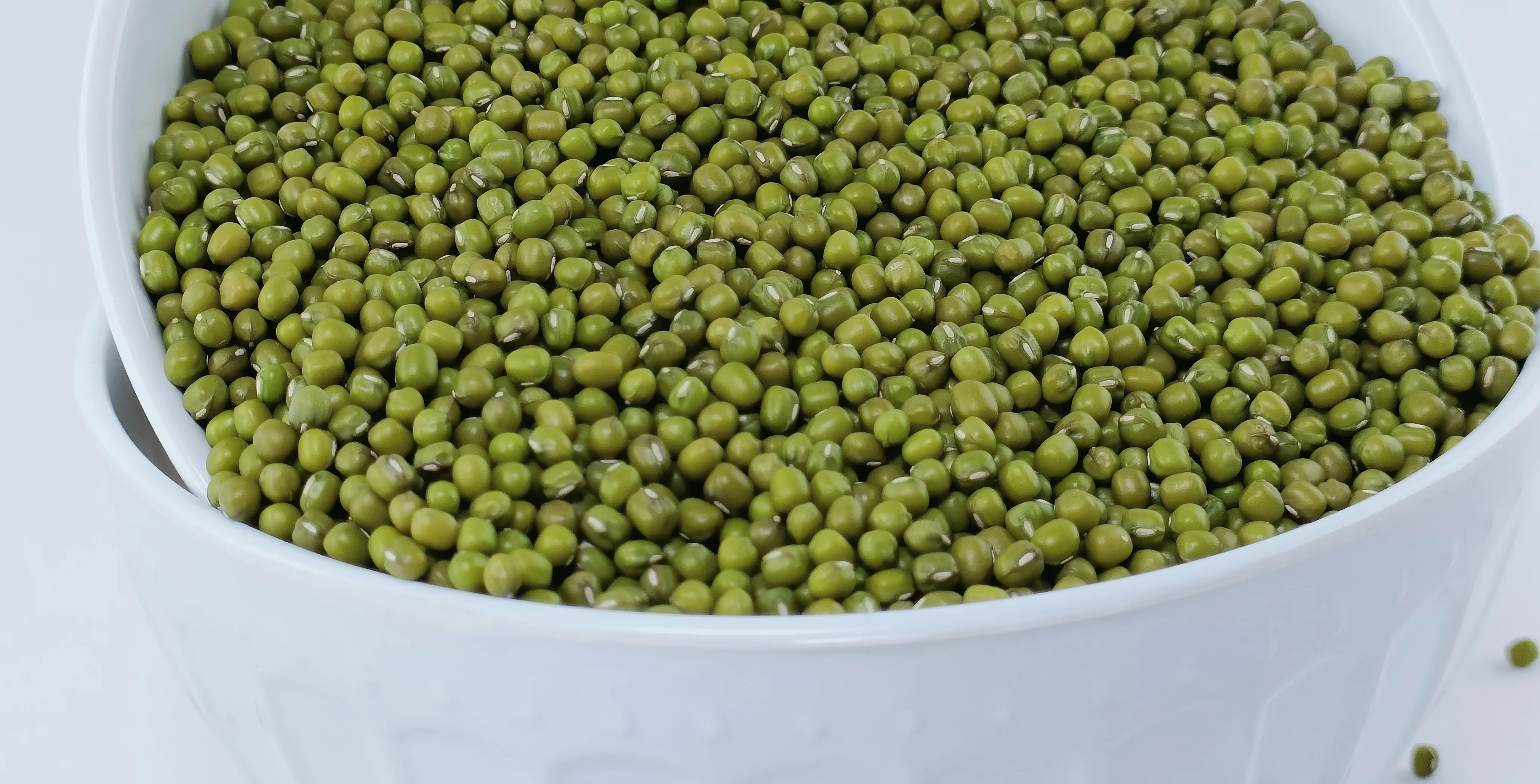 Ethiopian Green Mung Beans 2024 Crop,Bright Green Handpicked And ...