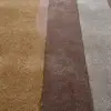 Multi - Color