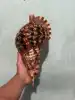สีดำ
