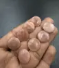 Melocotón