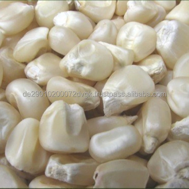 White Corn 1.jpg
