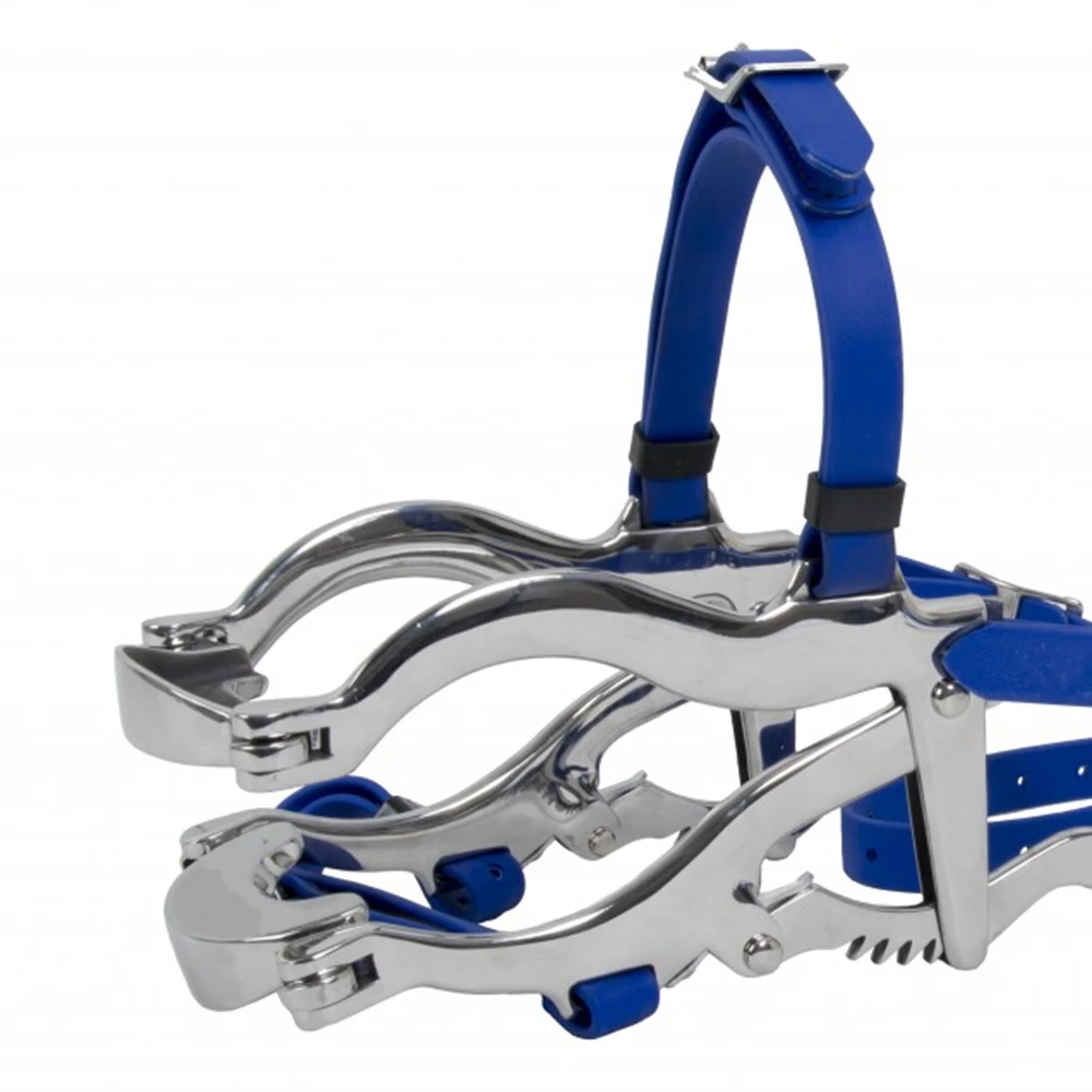 Instruments For Horse Dental Speculum Instruments Highly