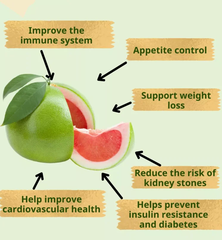 High Quality Organic Sweet Fresh Pomelo From Vietnam Ready To Ship Best