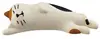 Chat calico endormi