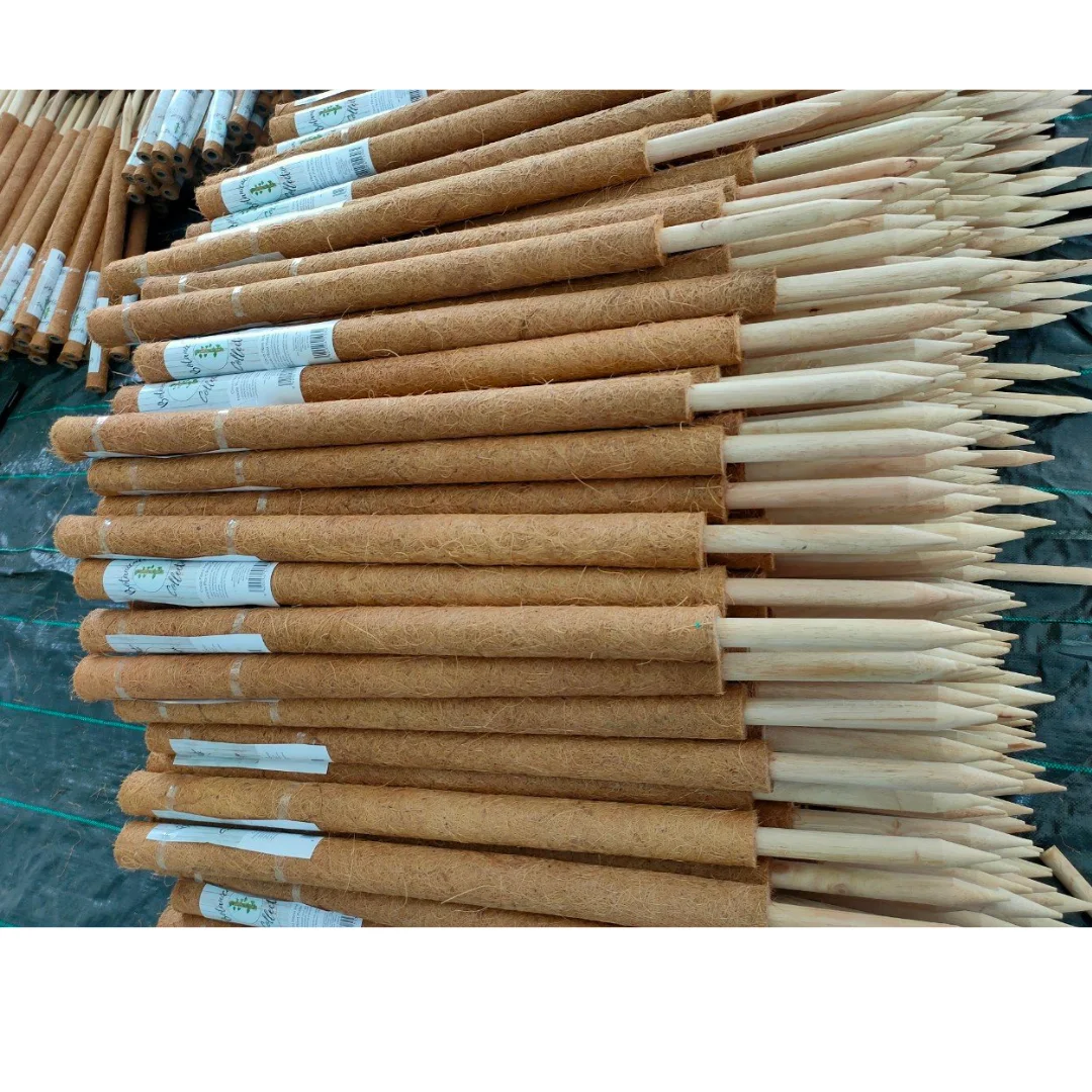Products From Coir Help Plants Grow Better. Moss Pole Covered With Coir