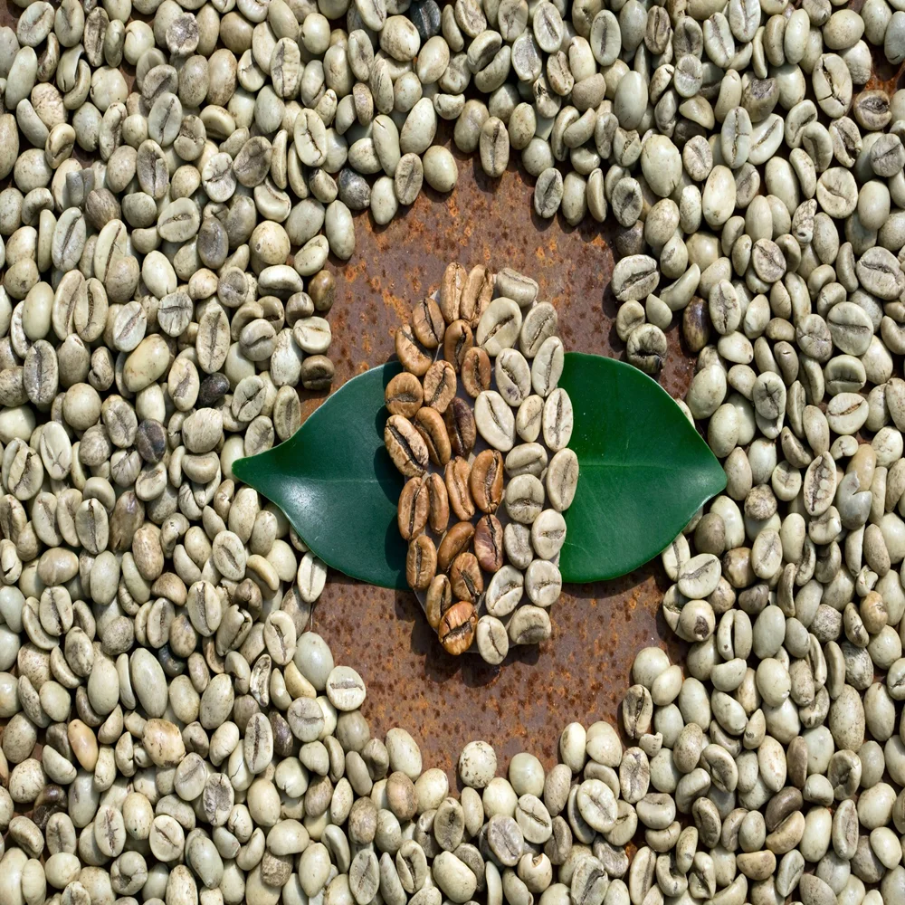Arabica/ Robusta Green Coffee Beans,New Crop High Quality Buy Raw