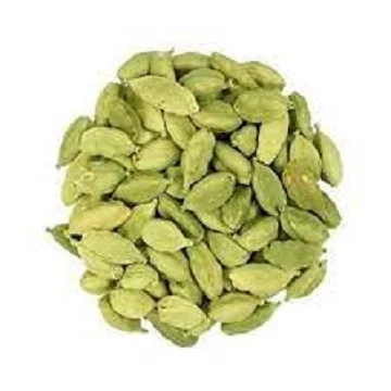 Premium Whole Large Green Cardamom Fresh Quality Dried Green Cardamom