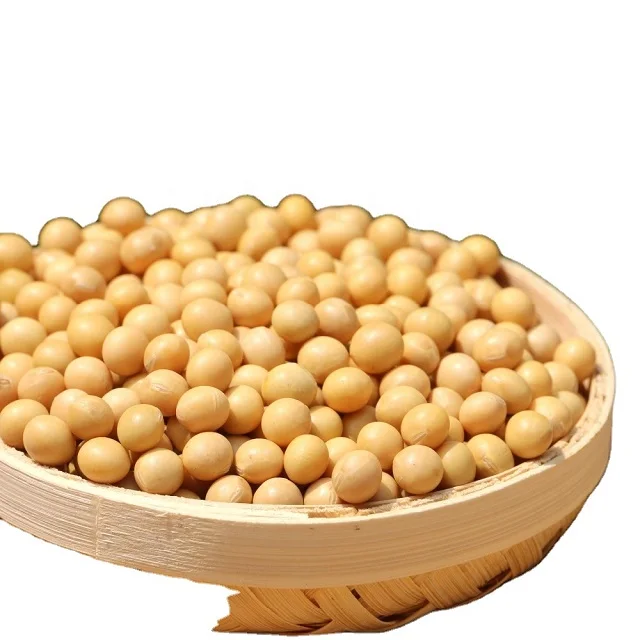 Non Gmo Soybeans High Quality Soya Beans / Soy Bean For Sale Buy