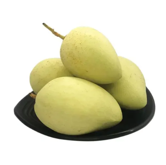 0100 (8).png
