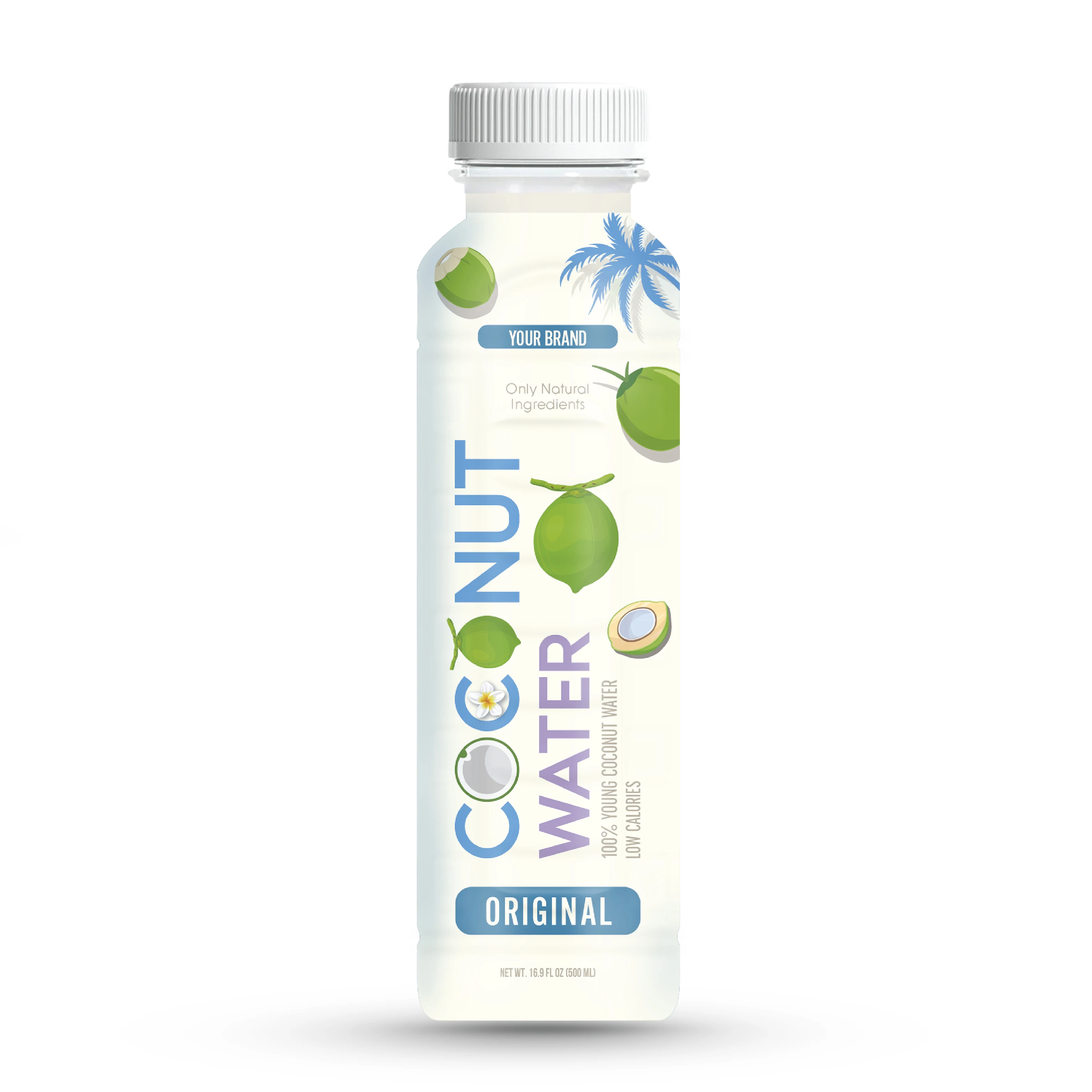 Premium Organic Coconut Water in 600ml Bottle from Vietnam - OEM ...