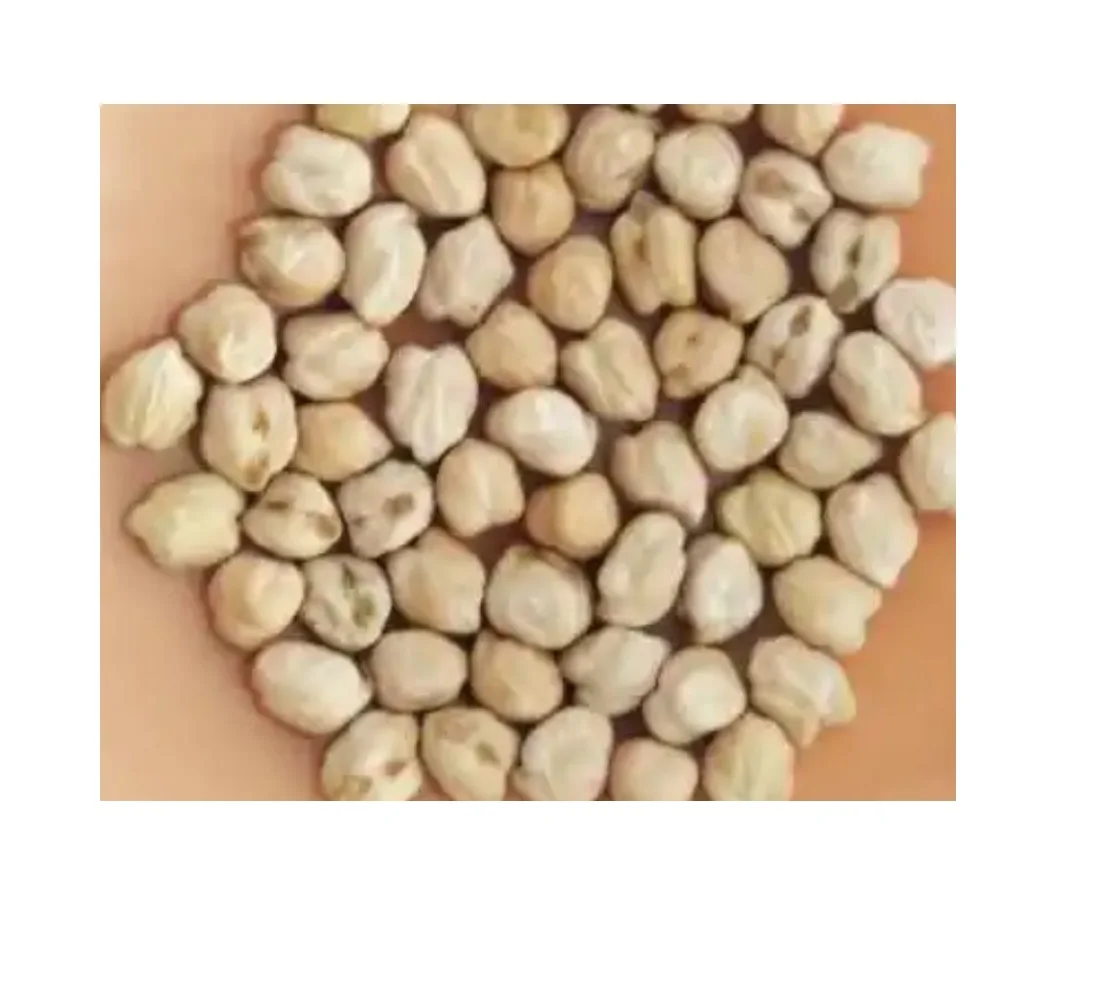 Качественный нут/нутовый горох лучший сушеный необработанный мешок 7 мм 8 9 10 11 12 макс