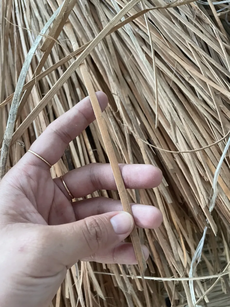 100 Natural Rattan Bleached Rattan Cane bing Color With Good Price