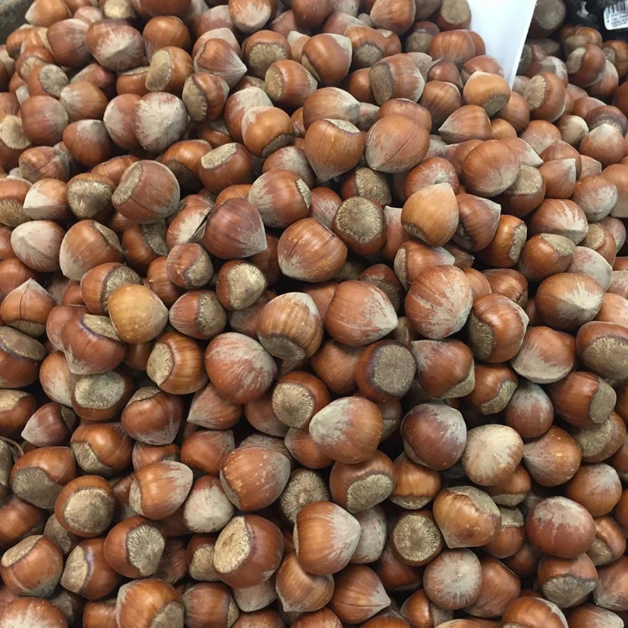 Hazelnuts 14.jpg