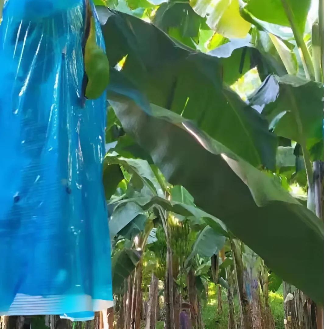 Factory Price UV Protection Cover Nonwoven Fruit Bag Banana Protection