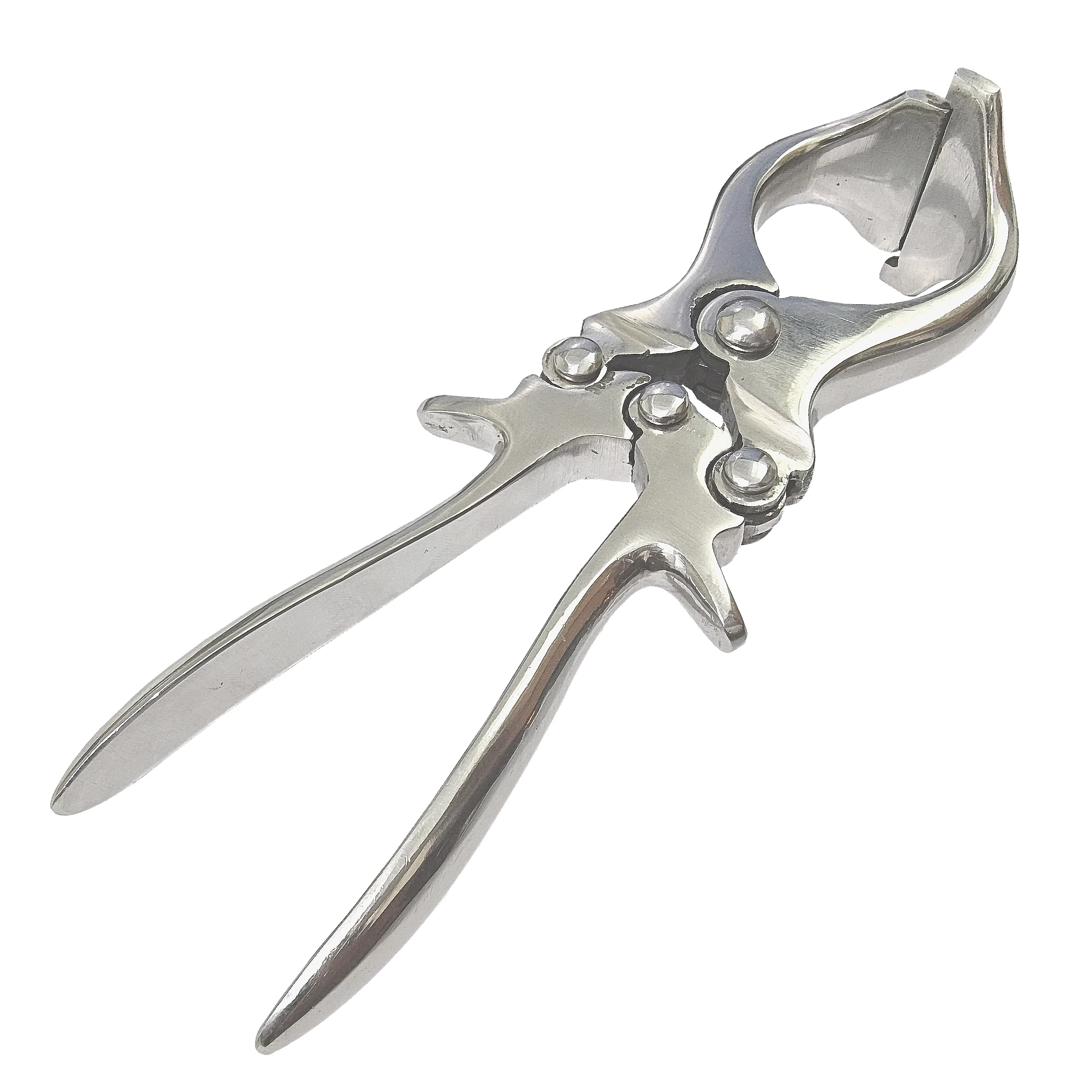Veterinary Burdizzo Castration Clamp For Livestock - Buy Stainless ...