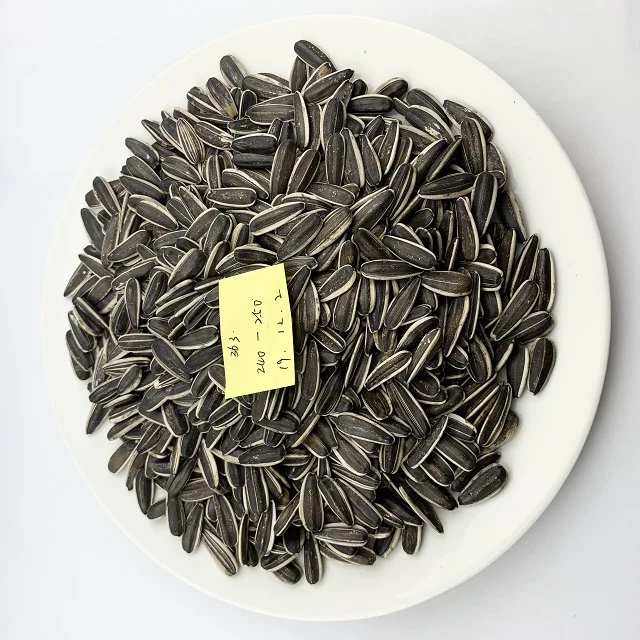 2023 Wholesale Large Sunflower Seeds Black White 361 Raw Sunflower