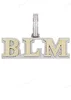 White Gold Plated