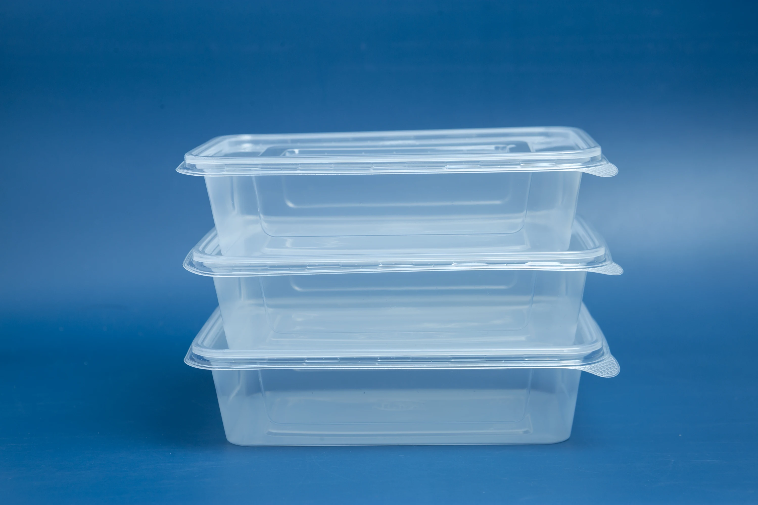 Custom 550ml Microwavable Fast Food Takeaway Box Disposable Clear ...